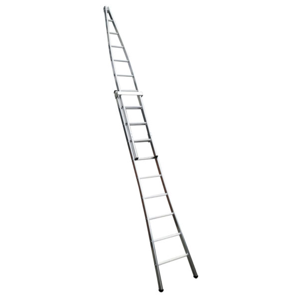 double-window-cleaning-ladder