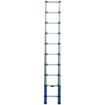 Werner-Telescopic-Extension-Ladder-8702920_A