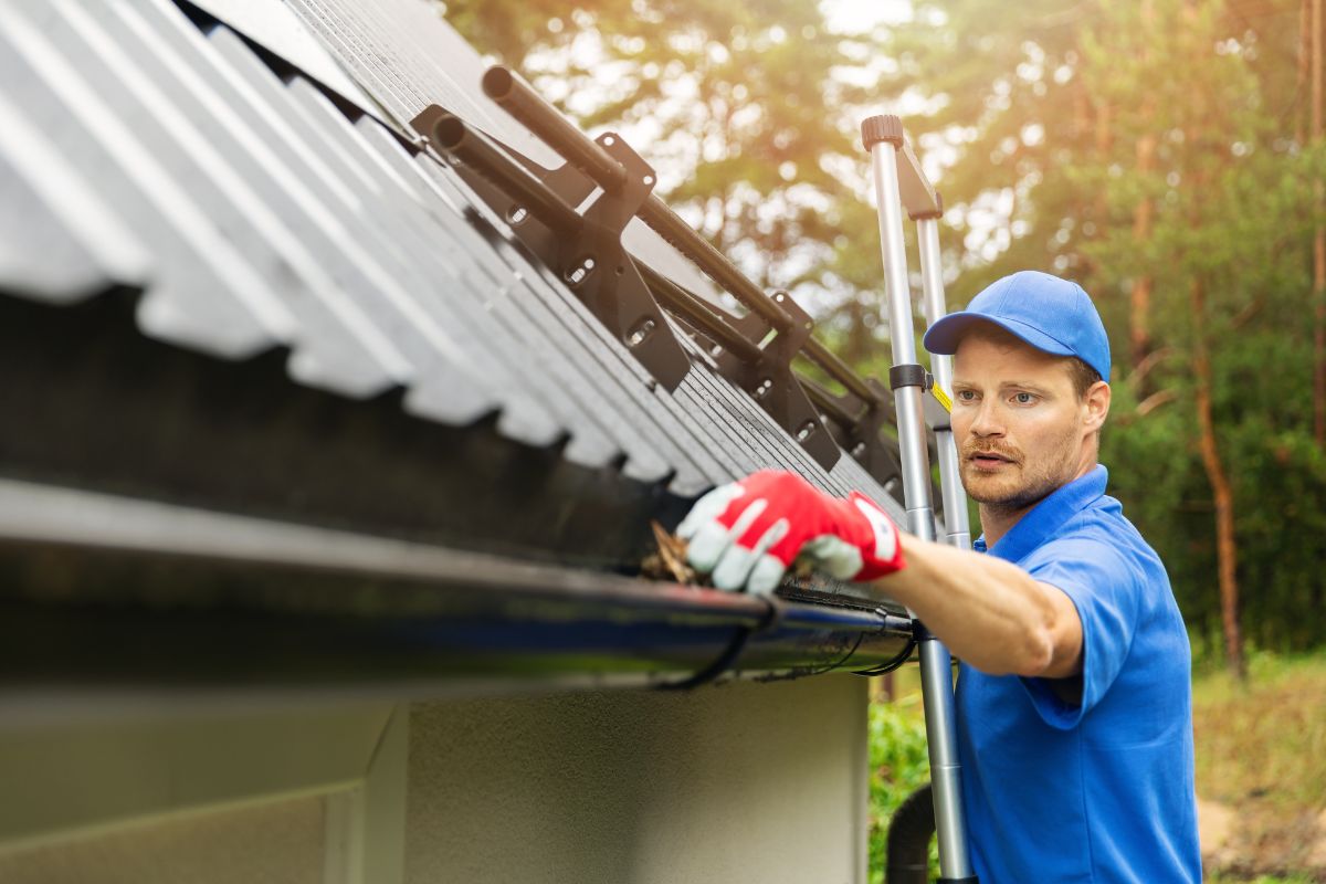 How to Safely Clean Gutters Using a Ladder