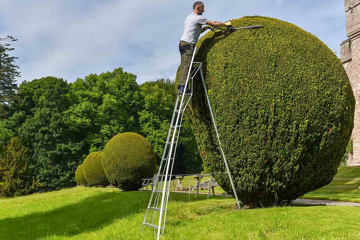 What Is a Tripod Ladder​? Your Complete Guide